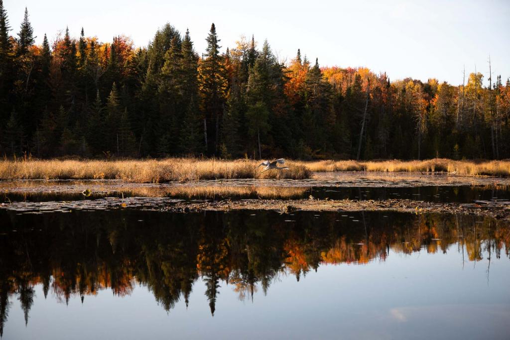 Québec - Lac Blanc © Caroline Mélia / YONDER.fr