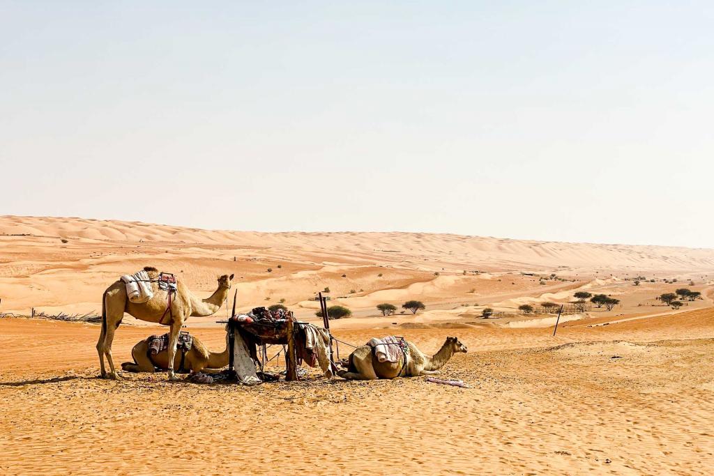 Wahiba Sands. © Emmanuel Laveran. 