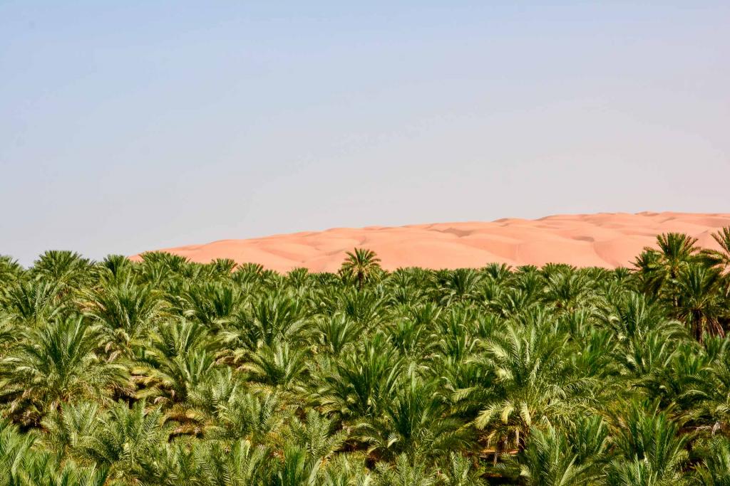 Les paysages d’Oman, vus de la route vers Wahiba Sands. © Emmanuel Laveran. 