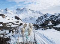 Découverte du Groenland-Est : excursions hivernales autour de Tasiilaq