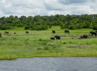 Les plus beaux safaris en Namibie