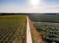 Itinéraire vélo à Uzès : notre guide pour une balade inoubliable