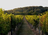 Les plus beaux hôtels 4 étoiles de Bourgogne