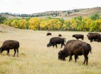 Roadtrip aux USA : les merveilles méconnues du Dakota du Sud