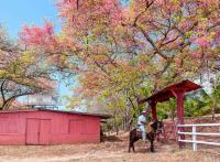 Costa Rica : les 5 visites et expériences incontournables du Guanacaste