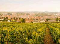 Visiter Épernay, que faire dans la capitale du champagne en un week-end ?