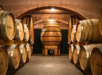 Quelles caves de champagne visiter ? Nos 9 caves préférées