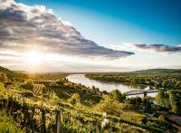 Vallée de la Wachau en Autriche : itinéraire de 3 jours entre forêt, vignes et Danube