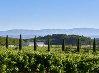 Les plus beaux hôtels dans les vignes en France et en Europe