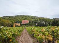 72 heures à Perpignan et aux alentours, sur la route des vins en Roussillon