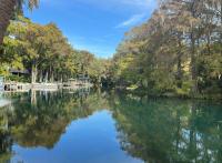 D’Ocala à Amelia Island : itinéraire en Floride du Nord