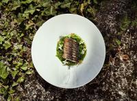 Vallée de la Gastronomie : l’appétit vient en voyageant