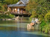Les plus beaux ryokan, hôtels de charme et de luxe de Kyoto