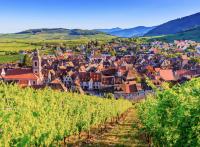 Notre itinéraire sur la Route des Vins d'Alsace