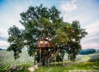 Les 20 plus beaux hôtels cabanes en France & Europe 