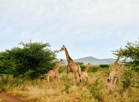 La newsletter hebdo hôtels et voyages - 158