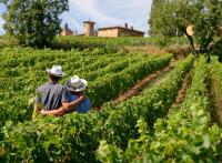 Vignobles en Scène : le festival pour les amoureux du vin et des terroirs