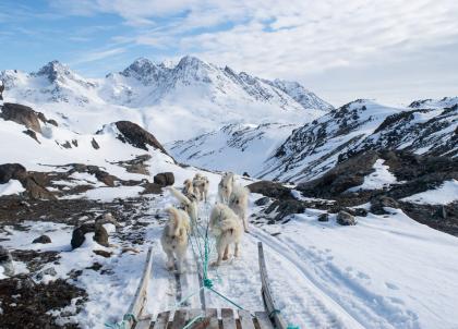 Découverte du Groenland-Est : excursions hivernales autour de Tasiilaq