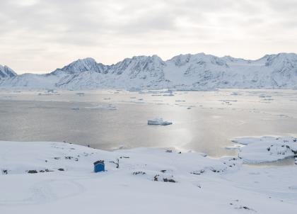 Découverte du Groenland-Est : excursions hivernales autour de Tasiilaq
