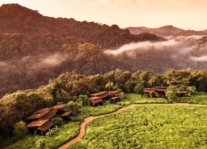 One&Only Nyungwe House : un lodge ultra-luxe dans la jungle rwandaise