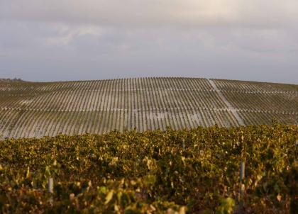 Un week-end en Andalousie à Jerez de la Frontera