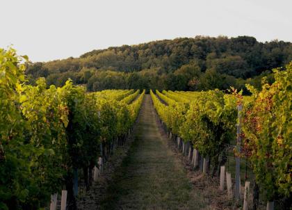 Les plus beaux hôtels 4 étoiles de Bourgogne Les plus beaux hôtels 4 étoiles de Bourgogne