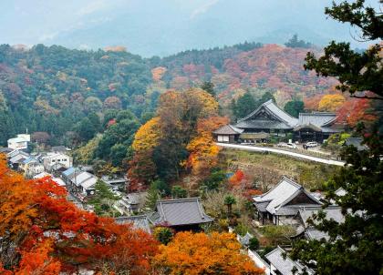 Japon : escapade à Nara et sa préfecture, berceau de la civilisation nippone