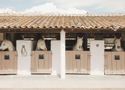 Séjour équestre : les plus beaux hôtels pour monter à cheval