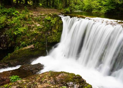 Dans les Vosges du Sud : escapade bucolique en Haute-Saône 