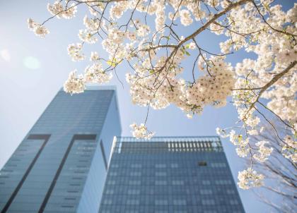 The Okura Tokyo, une version unique de l'hospitalité japonaise 