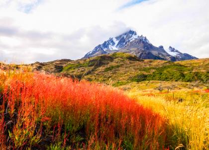 Torres del Paine, puissante nature