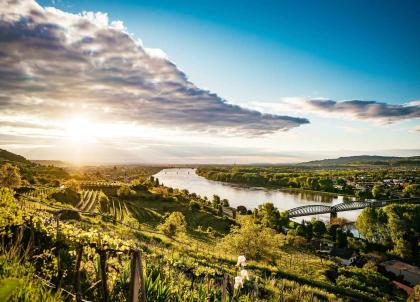Vallée de la Wachau en Autriche : itinéraire de 3 jours entre forêt, vignes et Danube