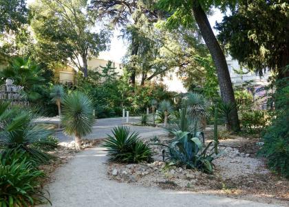 Que faire à Montpellier pour un week-end de 2 à 3 jours ?