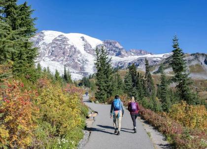 Que faire à Washington State ? 10 idées pour préparer votre voyage