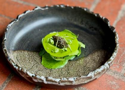 La cueillette de plantes sauvages : nouvelle tendance food à déguster au printemps des Alpes à Paris