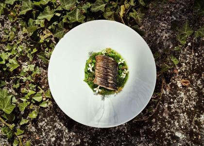 Vallée de la Gastronomie : l’appétit vient en voyageant