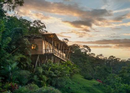 Origins Lodge, un paradis perdu dans la forêt du Costa Rica