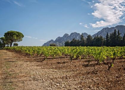  Où partir en week-end en novembre ? Suggestion d’escapade dans les Alpilles