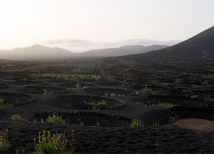 96h dans les paysages volcaniques des Canaries, entre Lanzarote et Tenerife