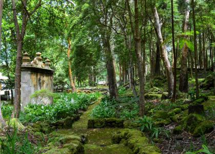 Voyage aux Açores : une semaine dans l'archipel le plus exotique d'Europe