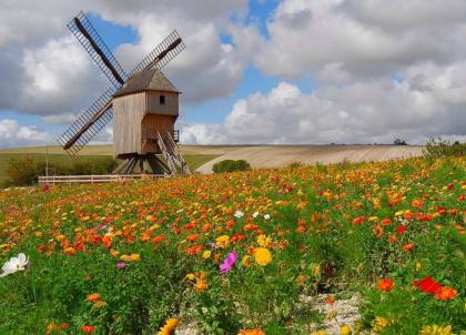 Que faire dans l'Aube pour un week-end de 2 ou 3 jours ? 