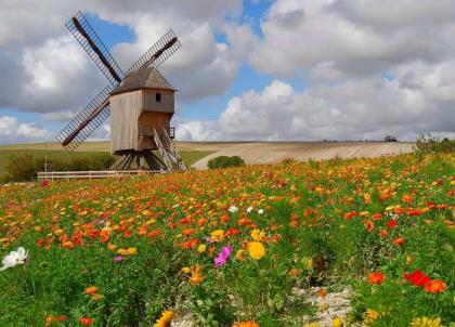 Week-end en Champagne : 72h dans l’Aube, entre nature et art de vivre