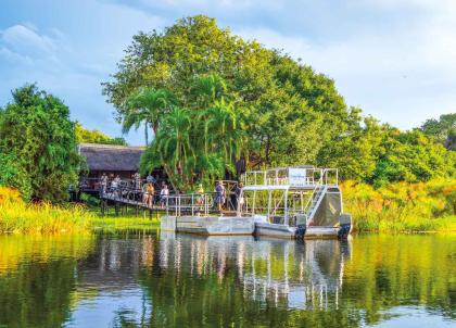 Les plus beaux safaris d'Afrique