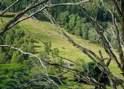 Domaine de Bel Ombre, pionnier du tourisme vert à l’île Maurice