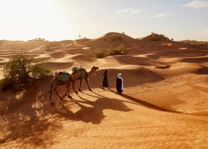 Où partir au soleil en hiver ? 5 destinations qui réchauffent toute l’année