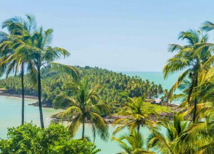 Pourquoi la Guyane est la destination la plus exotique de l’automne ?