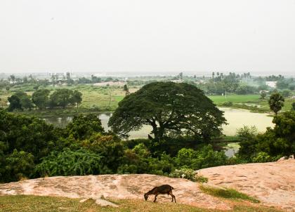 Vue des paysages du Tamil Nadu depuis la colline de Mahaps | © Marion Brun