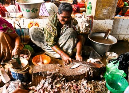 Une Indienne découpe le poisson au marché couvert de Pondichéry | © Marion Brun