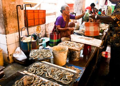 Etal de crevettes dans un marché couvert de Pondichéry | © Marion Brun