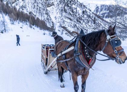 72 heures en Savoie : sur la piste de la Grande Odyssée 